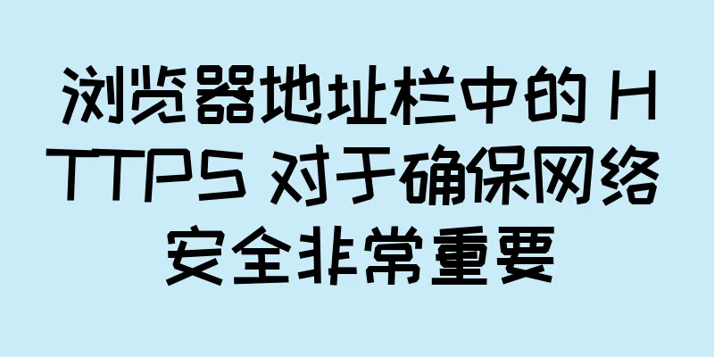 浏览器地址栏中的 HTTPS 对于确保网络安全非常重要