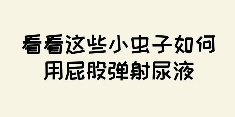 看看这些小虫子如何用屁股弹射尿液