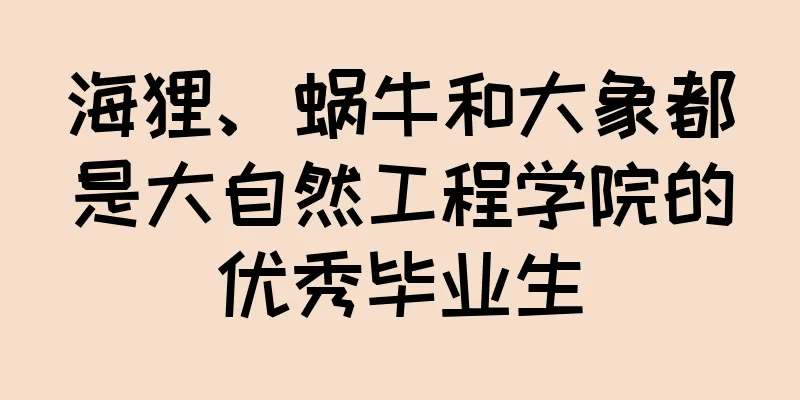 海狸、蜗牛和大象都是大自然工程学院的优秀毕业生