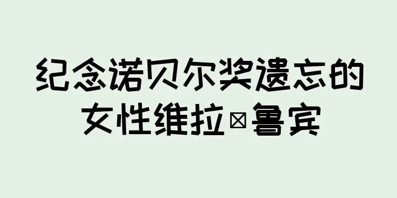纪念诺贝尔奖遗忘的女性维拉·鲁宾