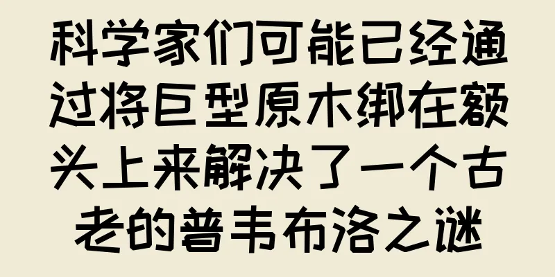 科学家们可能已经通过将巨型原木绑在额头上来解决了一个古老的普韦布洛之谜