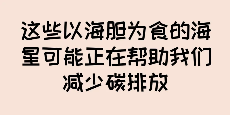 这些以海胆为食的海星可能正在帮助我们减少碳排放