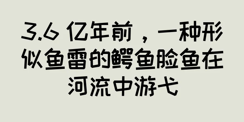 3.6 亿年前，一种形似鱼雷的鳄鱼脸鱼在河流中游弋
