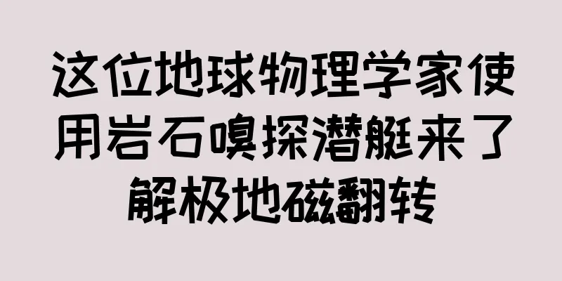 这位地球物理学家使用岩石嗅探潜艇来了解极地磁翻转