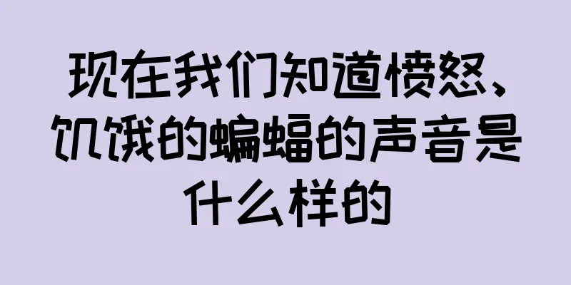 现在我们知道愤怒、饥饿的蝙蝠的声音是什么样的
