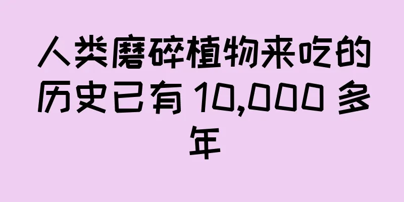 人类磨碎植物来吃的历史已有 10,000 多年