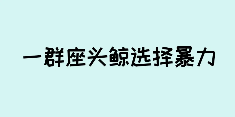 一群座头鲸选择暴力