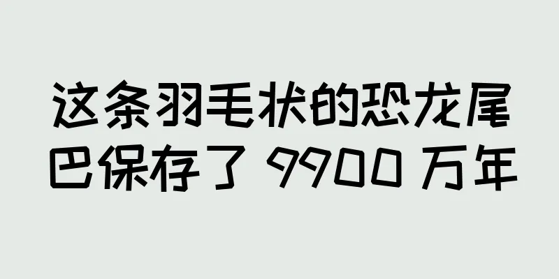 这条羽毛状的恐龙尾巴保存了 9900 万年