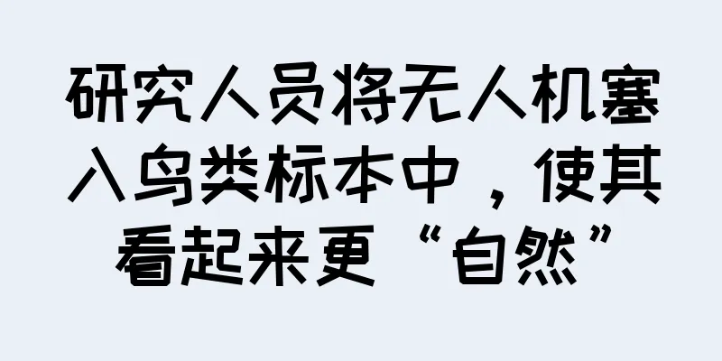 研究人员将无人机塞入鸟类标本中，使其看起来更“自然”