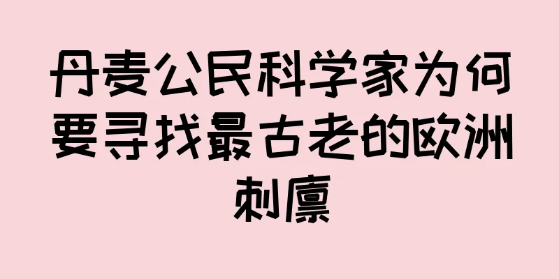 丹麦公民科学家为何要寻找最古老的欧洲刺猬