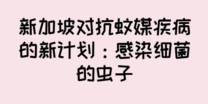 新加坡对抗蚊媒疾病的新计划：感染细菌的虫子