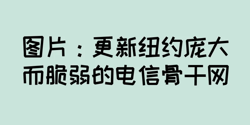 图片：更新纽约庞大而脆弱的电信骨干网