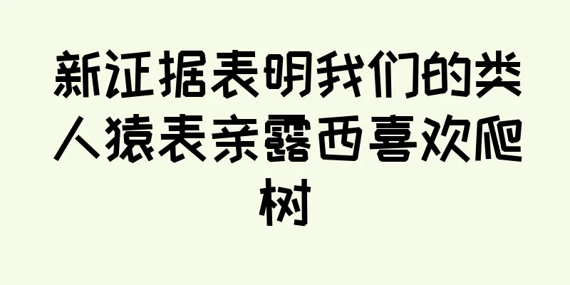 新证据表明我们的类人猿表亲露西喜欢爬树