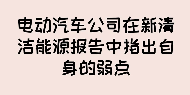 电动汽车公司在新清洁能源报告中指出自身的弱点