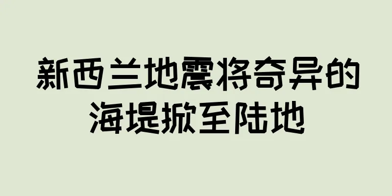 新西兰地震将奇异的海堤掀至陆地