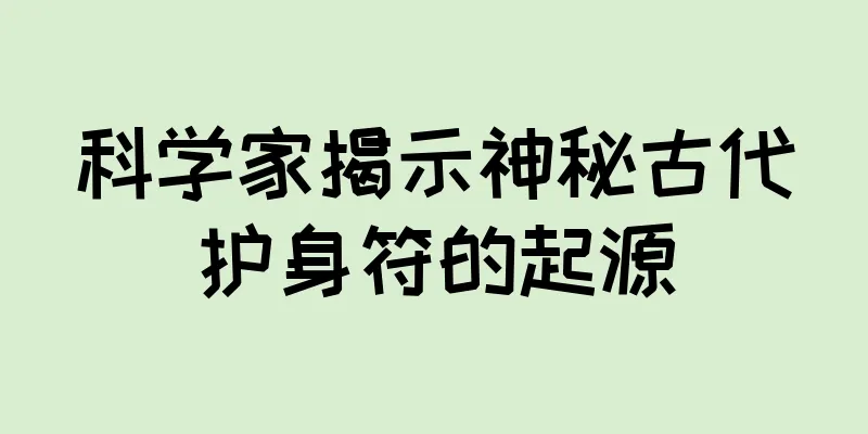 科学家揭示神秘古代护身符的起源
