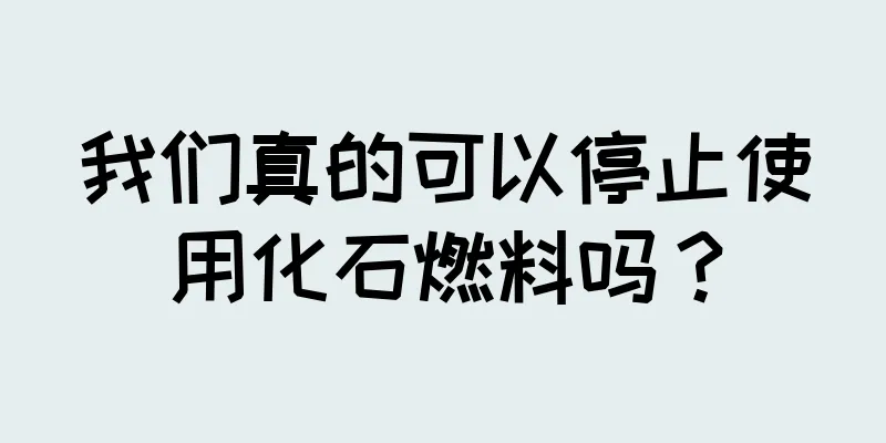 我们真的可以停止使用化石燃料吗？