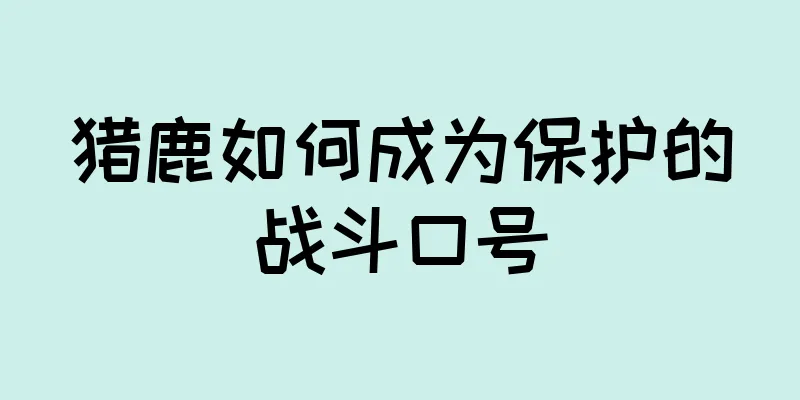 猎鹿如何成为保护的战斗口号