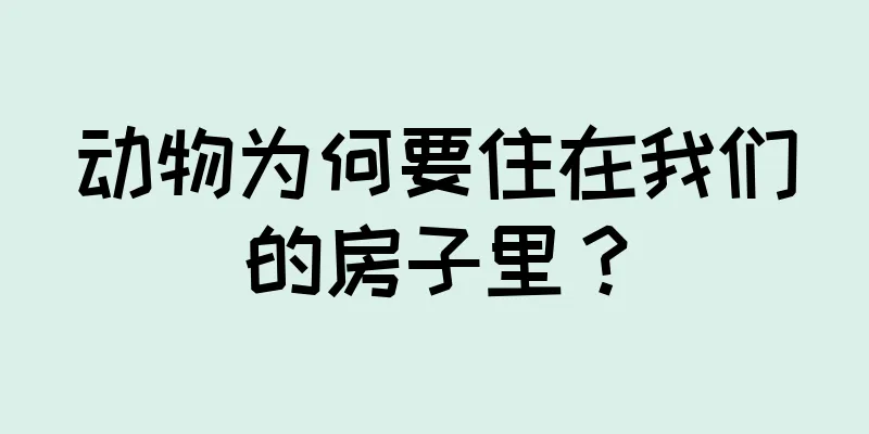 动物为何要住在我们的房子里？