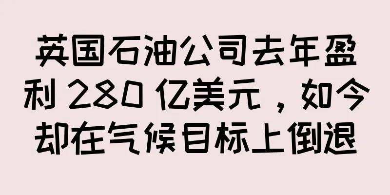 英国石油公司去年盈利 280 亿美元，如今却在气候目标上倒退