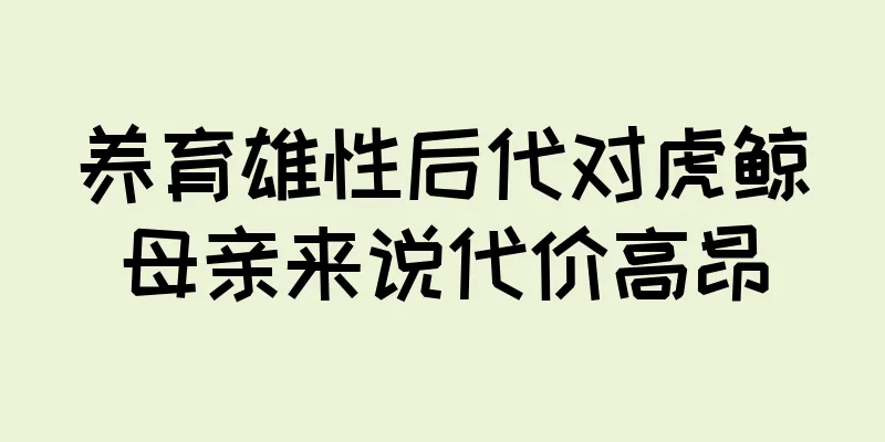 养育雄性后代对虎鲸母亲来说代价高昂