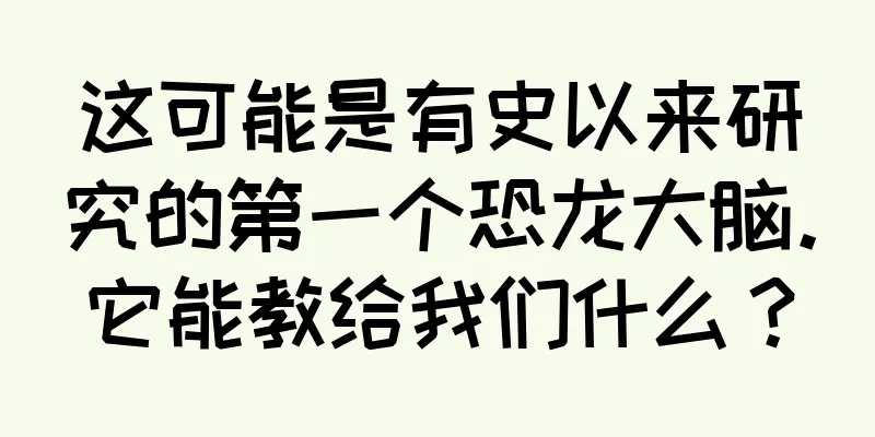 这可能是有史以来研究的第一个恐龙大脑。它能教给我们什么？
