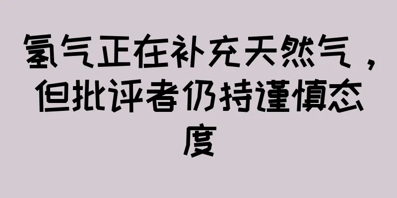 氢气正在补充天然气，但批评者仍持谨慎态度