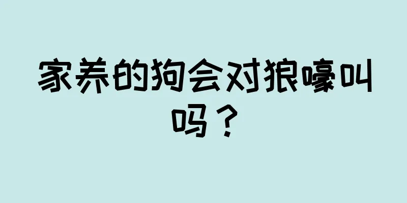 家养的狗会对狼嚎叫吗？
