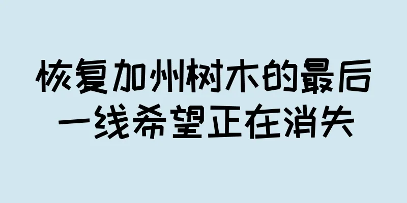 恢复加州树木的最后一线希望正在消失