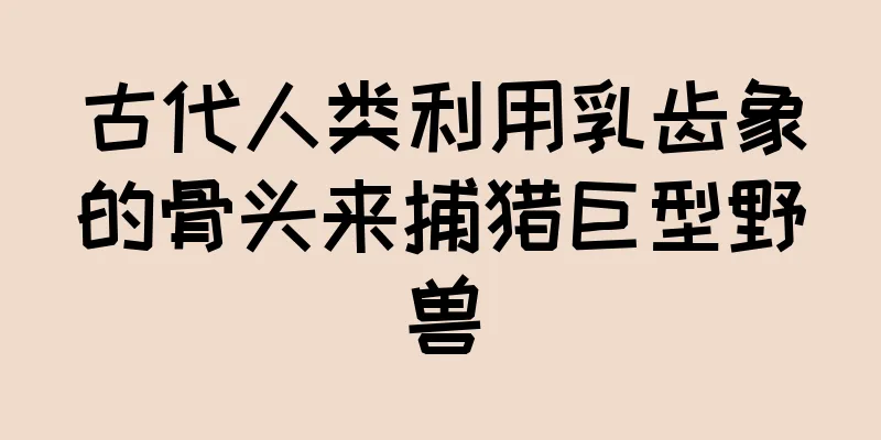 古代人类利用乳齿象的骨头来捕猎巨型野兽