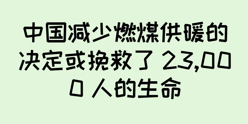 中国减少燃煤供暖的决定或挽救了 23,000 人的生命
