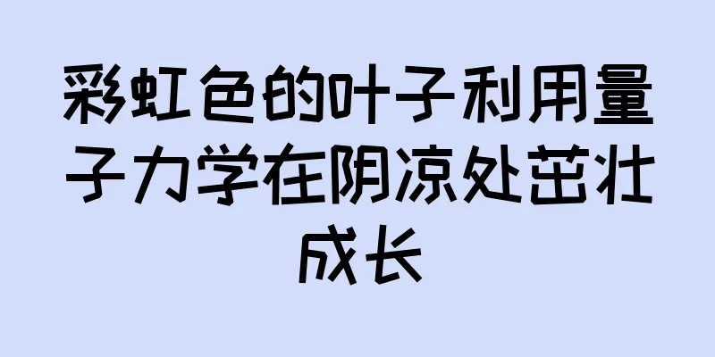 彩虹色的叶子利用量子力学在阴凉处茁壮成长