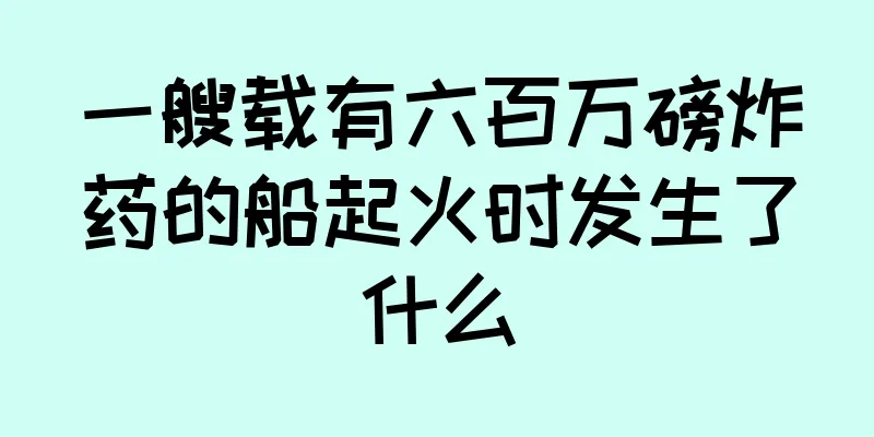 一艘载有六百万磅炸药的船起火时发生了什么