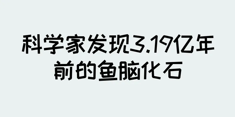 科学家发现3.19亿年前的鱼脑化石