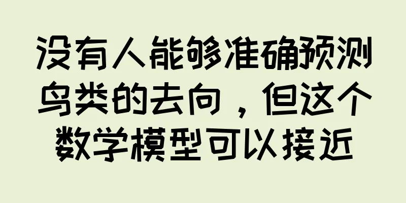 没有人能够准确预测鸟类的去向，但这个数学模型可以接近