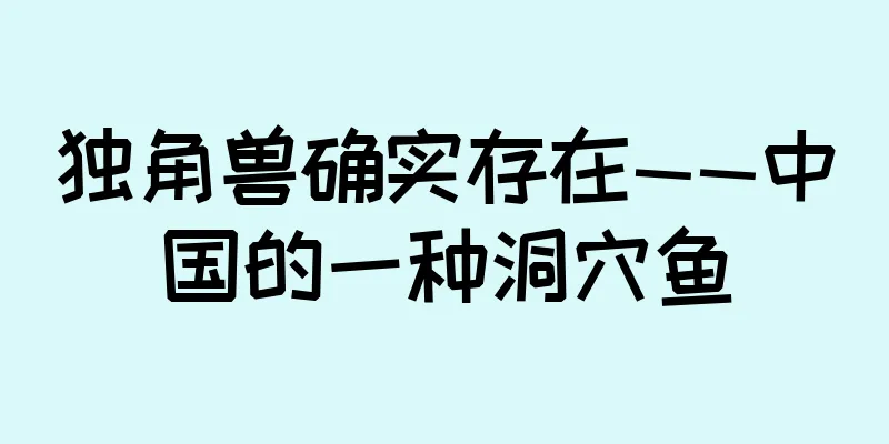 独角兽确实存在——中国的一种洞穴鱼