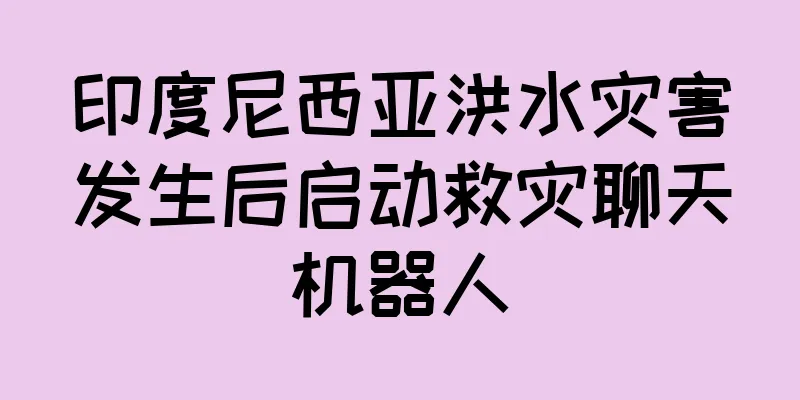 印度尼西亚洪水灾害发生后启动救灾聊天机器人