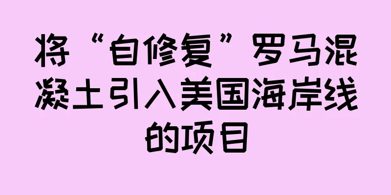 将“自修复”罗马混凝土引入美国海岸线的项目