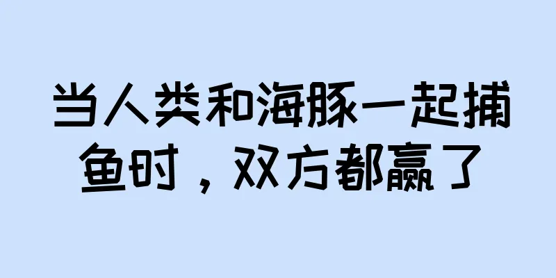 当人类和海豚一起捕鱼时，双方都赢了