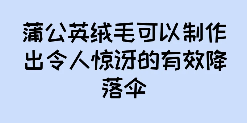 蒲公英绒毛可以制作出令人惊讶的有效降落伞
