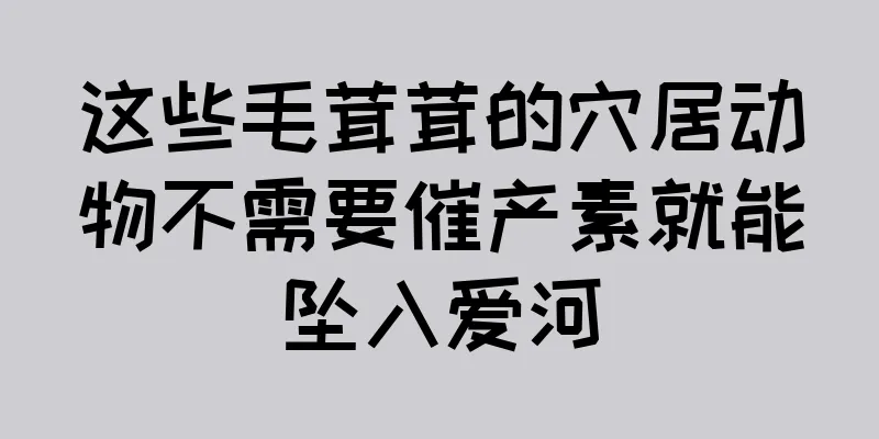 这些毛茸茸的穴居动物不需要催产素就能坠入爱河