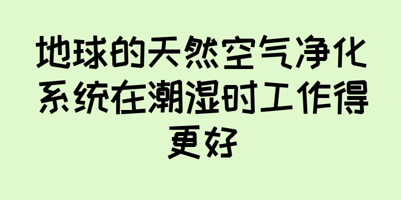 地球的天然空气净化系统在潮湿时工作得更好