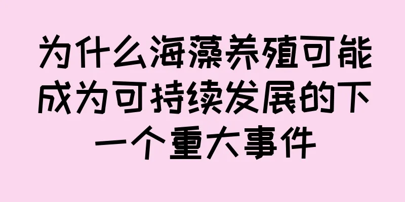 为什么海藻养殖可能成为可持续发展的下一个重大事件