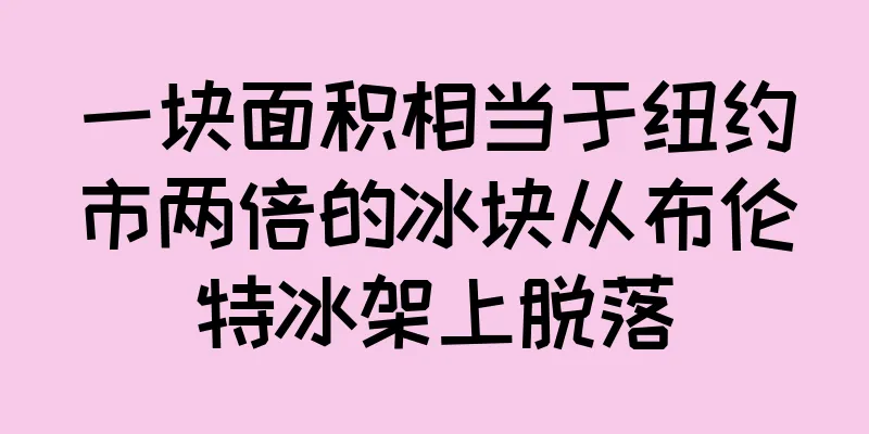 一块面积相当于纽约市两倍的冰块从布伦特冰架上脱落