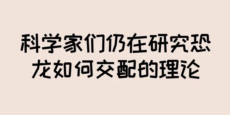 科学家们仍在研究恐龙如何交配的理论