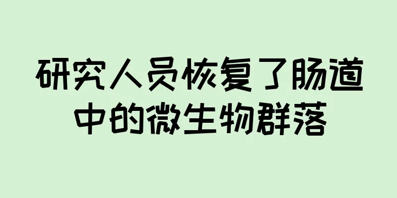 研究人员恢复了肠道中的微生物群落