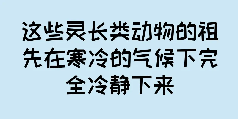 这些灵长类动物的祖先在寒冷的气候下完全冷静下来