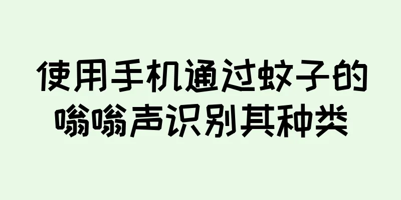 使用手机通过蚊子的嗡嗡声识别其种类