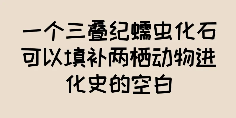 一个三叠纪蠕虫化石可以填补两栖动物进化史的空白