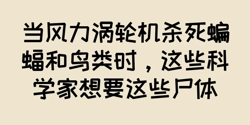 当风力涡轮机杀死蝙蝠和鸟类时，这些科学家想要这些尸体